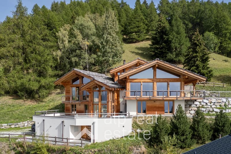 Chalet de prestige (1)