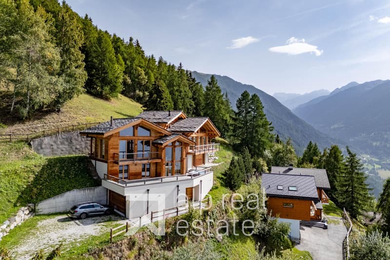 Chalet de prestige (2)