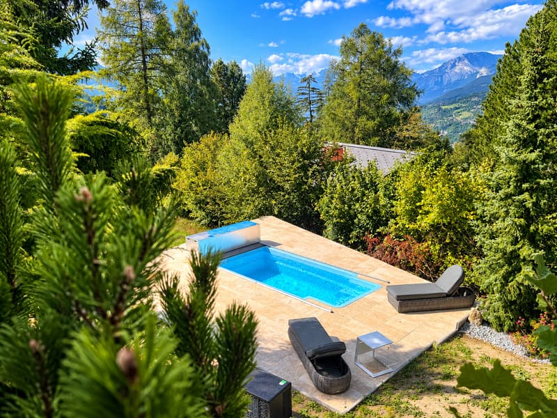 Chalet d'exception avec piscine privée (2)