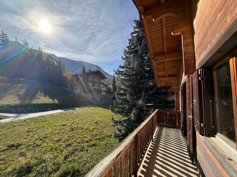 Chalet au charme bucolique à louer à la saison - à deux pas du centre (4)