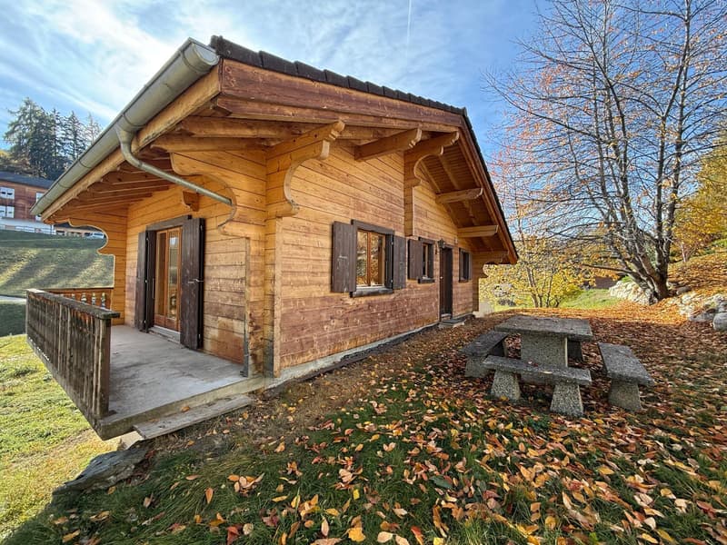 Chalet au charme bucolique à louer à la saison - à deux pas du centre (2)