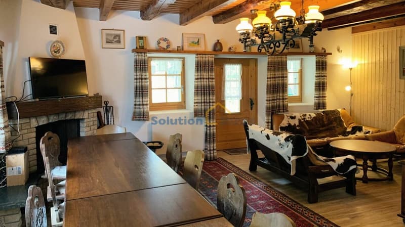 Grand chalet de 8 pièces, très ensoleillé (6)