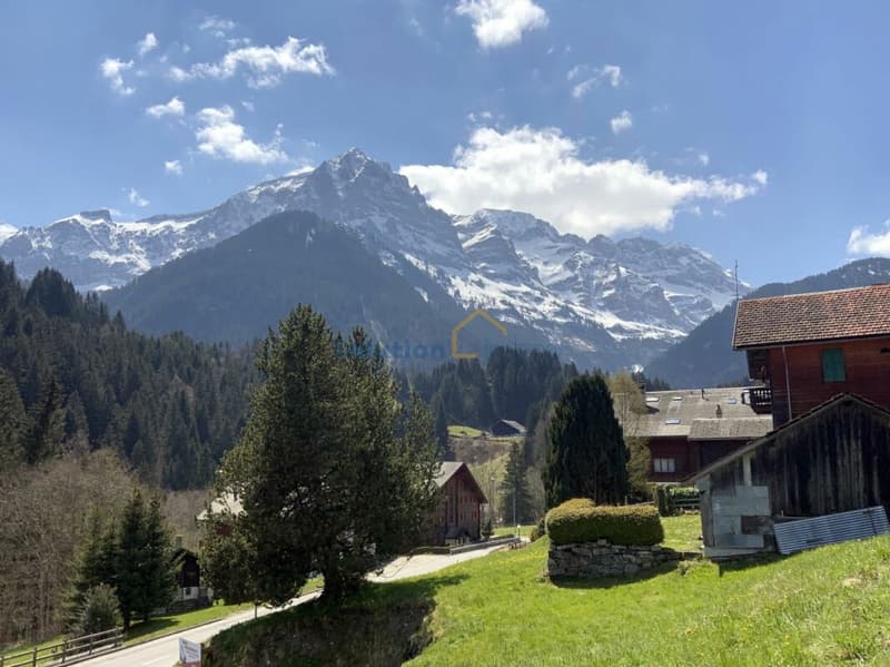 Grand chalet de 8 pièces, très ensoleillé (2)