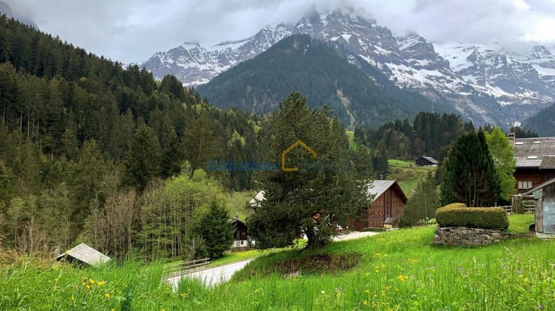 Grand chalet de 8 pièces, très ensoleillé (5)