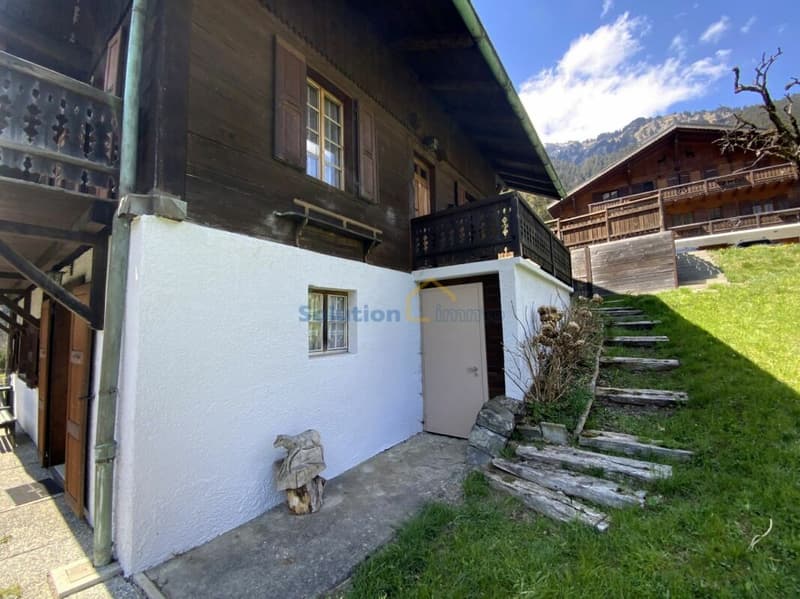 Grand chalet de 8 pièces, très ensoleillé (14)