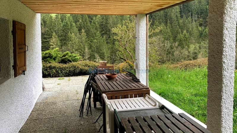 Grand chalet de 8 pièces, très ensoleillé (12)