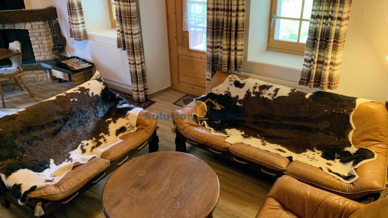 Grand chalet de 8 pièces, très ensoleillé (7)
