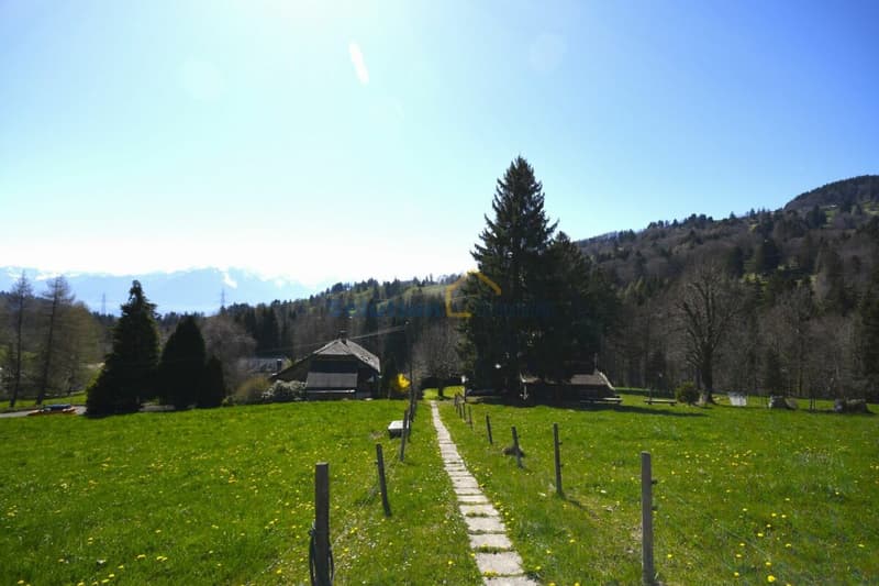 Très grand chalet, idéal pour une rénovation (9)