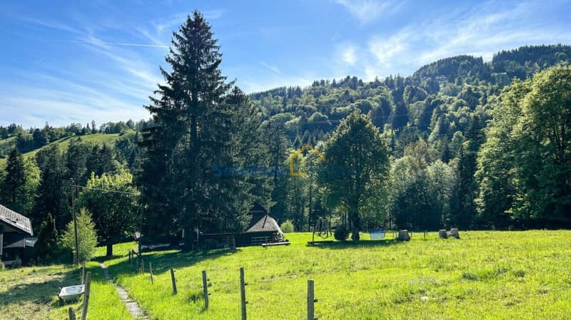 Très grand chalet, idéal pour une rénovation (8)