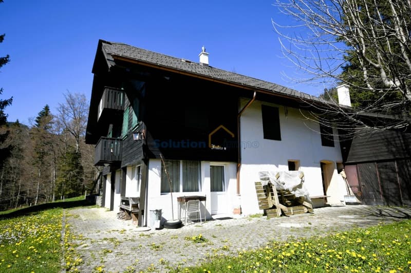 Très grand chalet, idéal pour une rénovation (2)