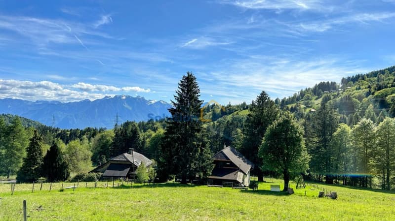Très grand chalet, idéal pour une rénovation (5)
