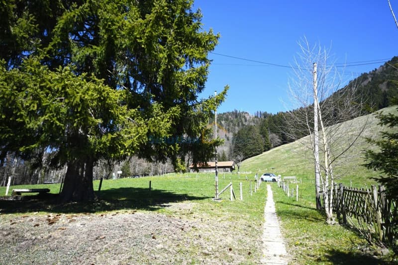 Très grand chalet, idéal pour une rénovation (4)