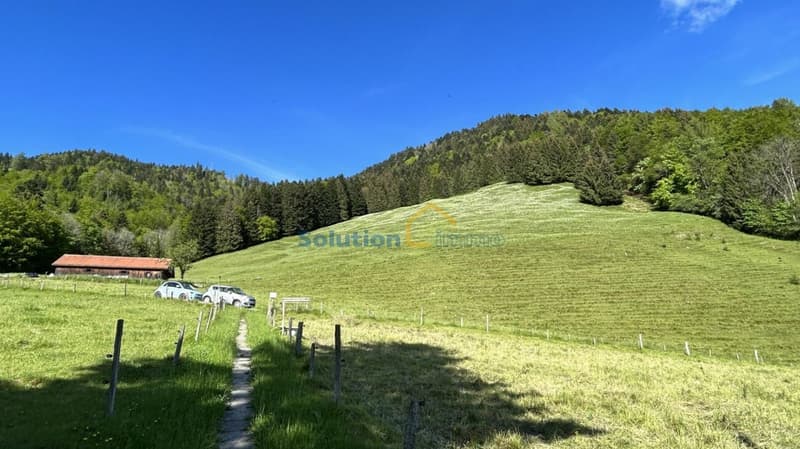 Très grand chalet, idéal pour une rénovation (7)