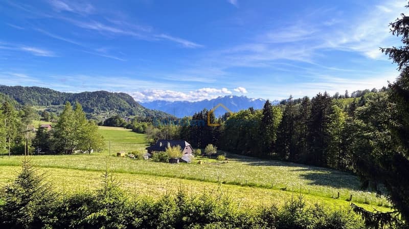 Très grand chalet, idéal pour une rénovation (6)