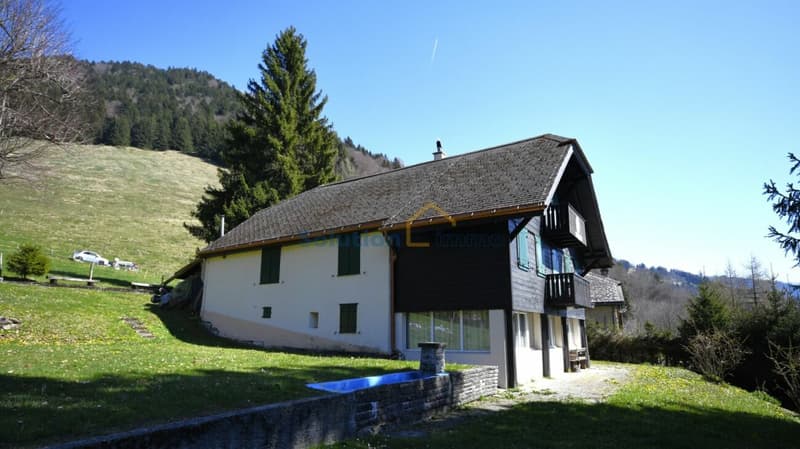 Très grand chalet, idéal pour une rénovation (3)