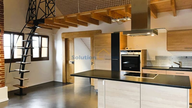 Belle ferme rénovée de 2 appartements (9)