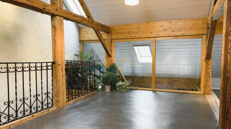 Belle ferme rénovée de 2 appartements (10)