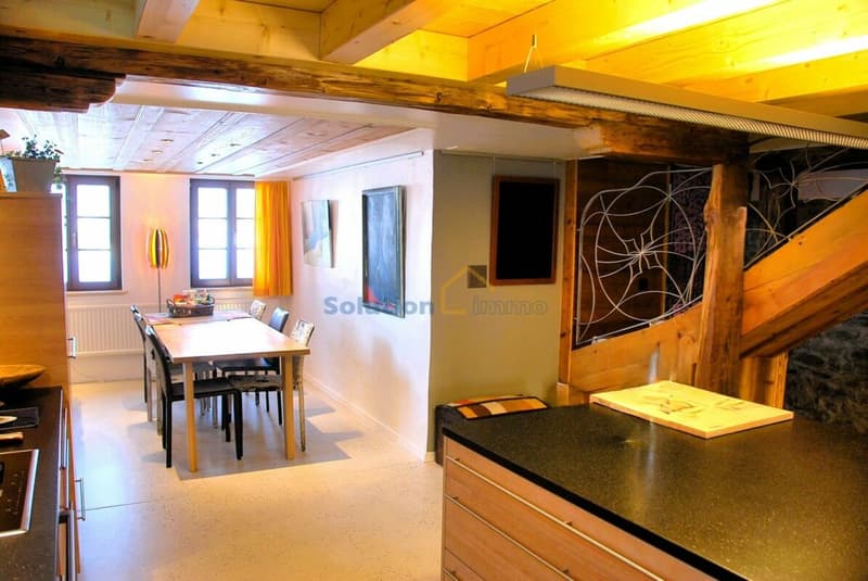 Belle ferme rénovée de 2 appartements (5)