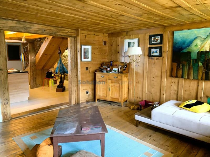 Belle ferme rénovée de 2 appartements (7)