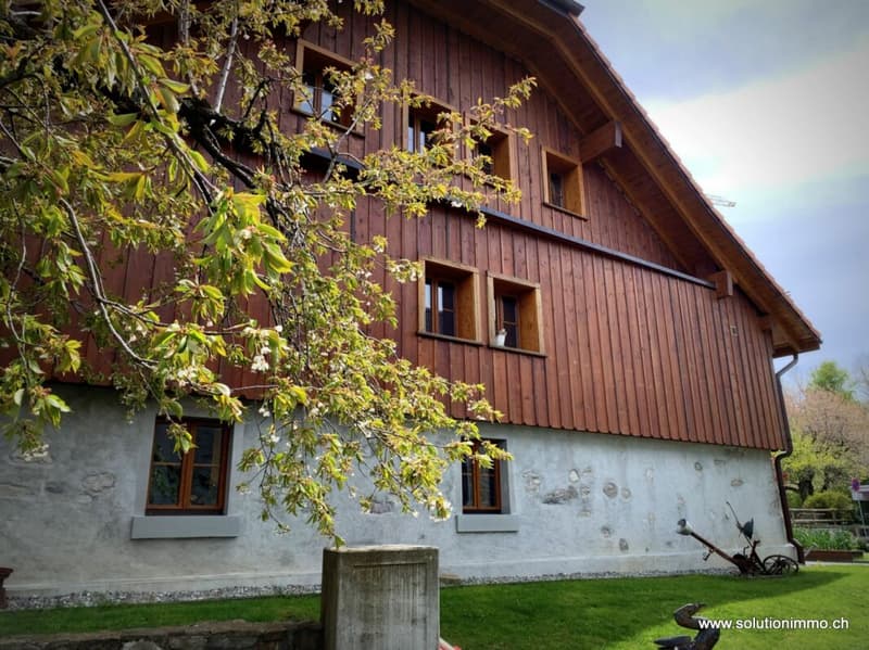 Belle ferme rénovée de 2 appartements (3)