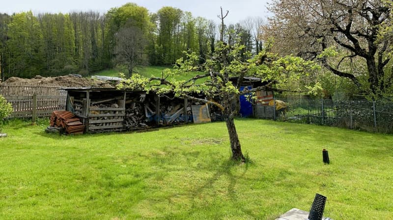 Belle ferme rénovée de 2 appartements (12)
