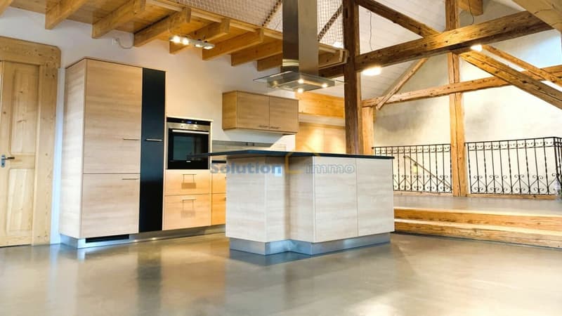 Belle ferme rénovée de 2 appartements (8)