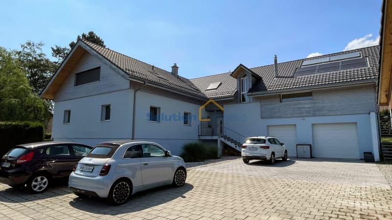 Charmant immeuble de 3 appartements avec superbe jardin (5)