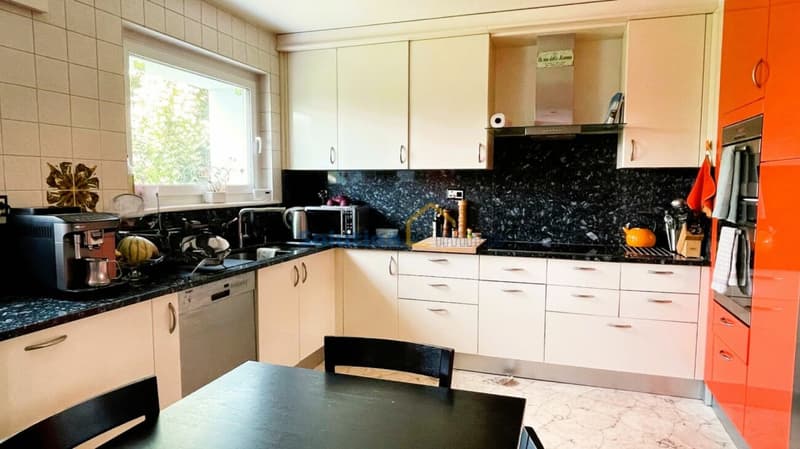 Charmant immeuble de 3 appartements avec superbe jardin (11)