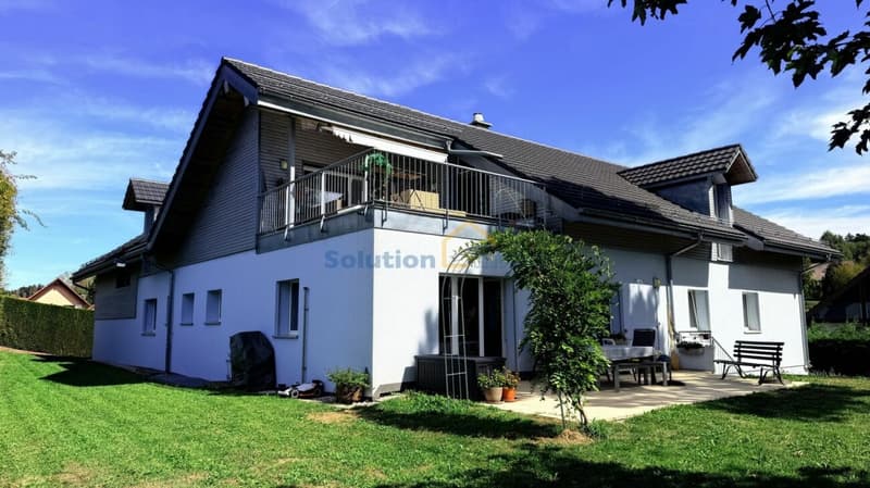 Charmant immeuble de 3 appartements avec superbe jardin (3)