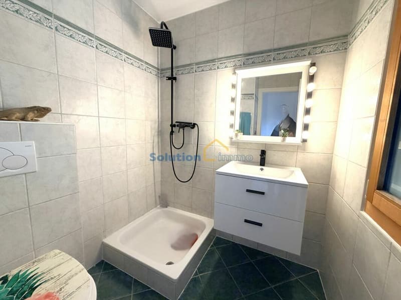 Grande villa contiguë de 6,6 pièces (12)