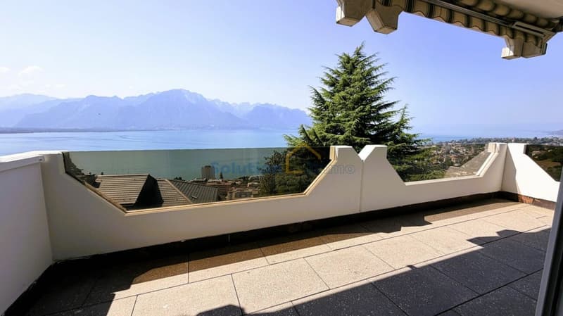 Magnifique vue depuis appartement de 3,5 pièces (12)