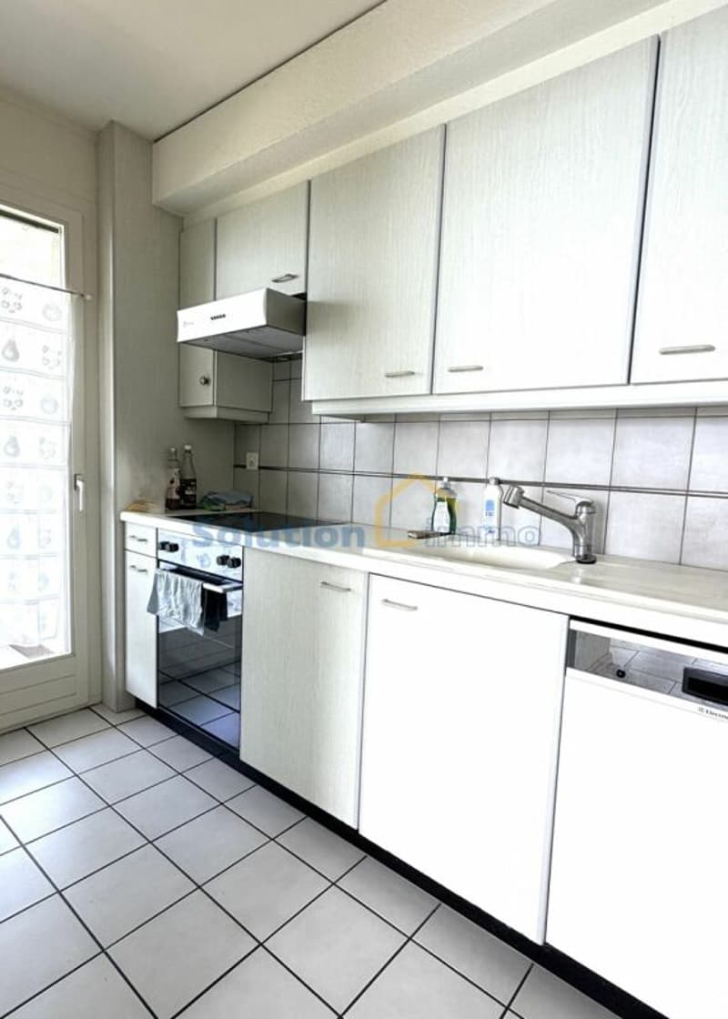 Magnifique vue depuis appartement de 3,5 pièces (9)