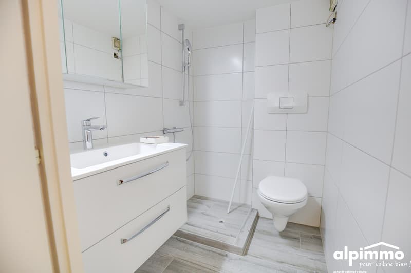 Sympathique 3p. au coeur du vieux village de Nendaz ! (8)
