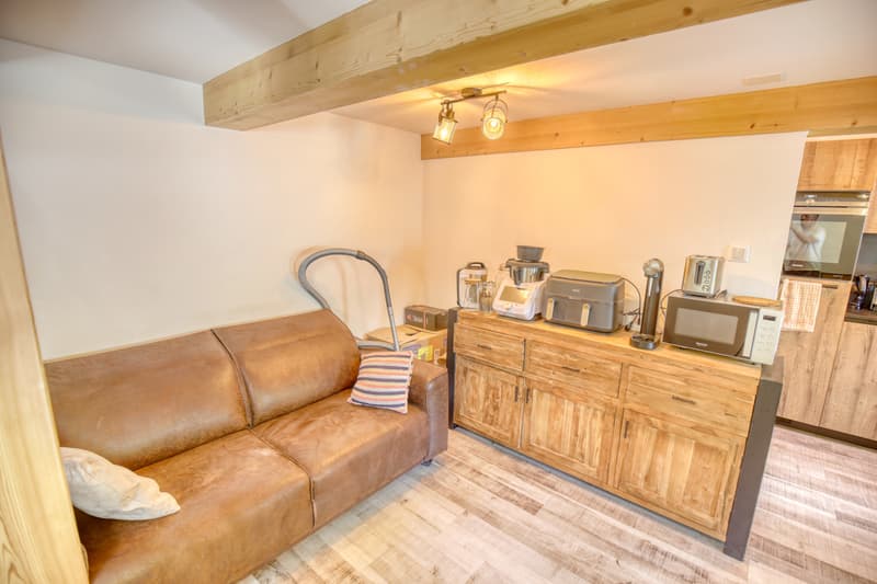 Chalet 3.5 pièces dans PPE - Excellent potentiel locatif (2)