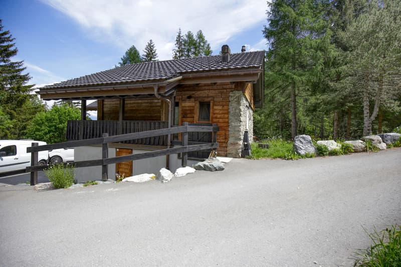 Chalet 3.5 pièces dans PPE - Excellent potentiel locatif (1)