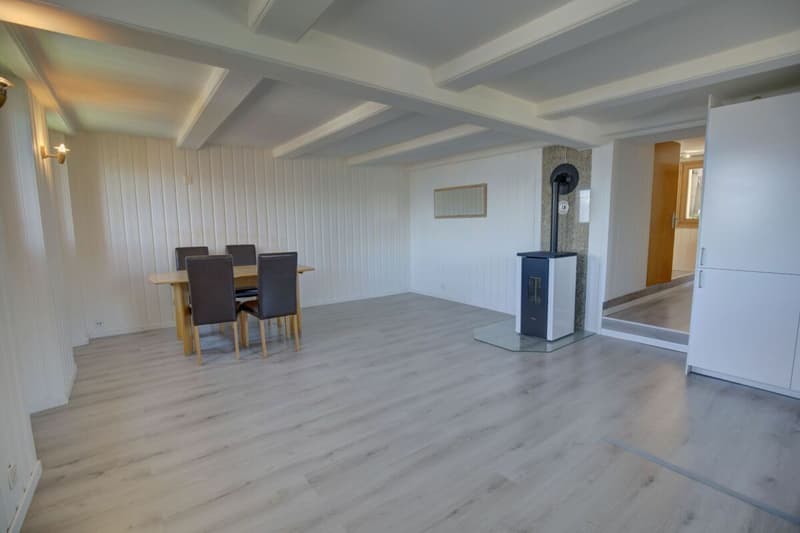 Sympathique 3p. au coeur du vieux village de Nendaz ! (8)