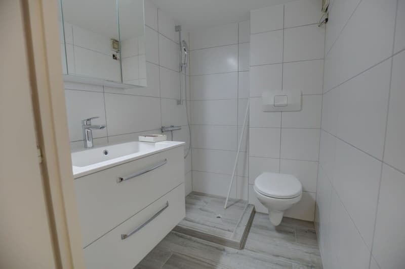 Sympathique 3p. au coeur du vieux village de Nendaz ! (7)