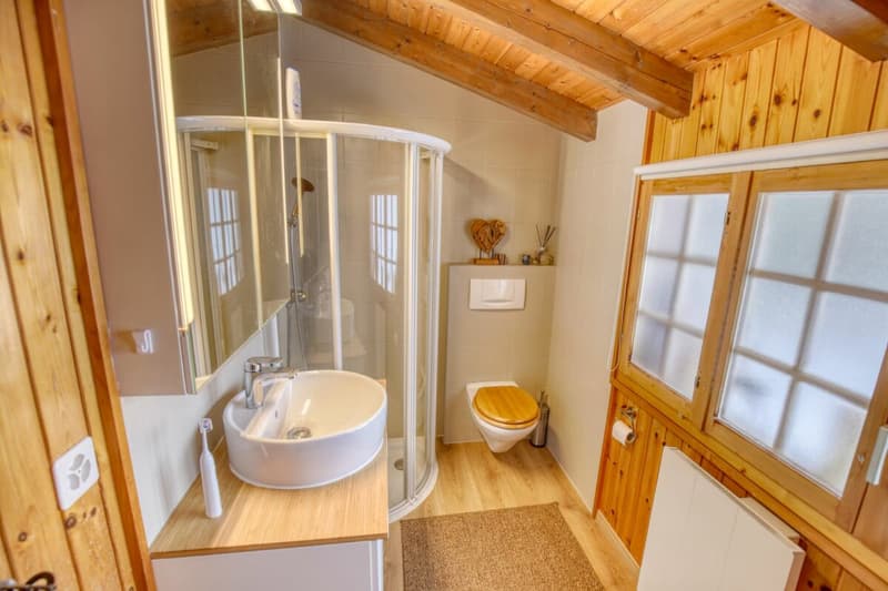 Chalet de caractère avec 2 annexes et un grand terrain à Haute-Nendaz! (19)