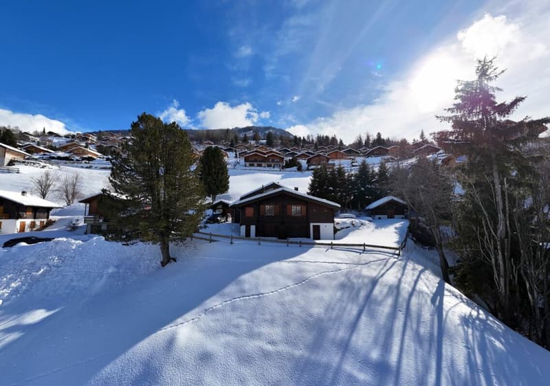 Chalet de caractère avec 2 annexes et un grand terrain à Haute-Nendaz! (8)