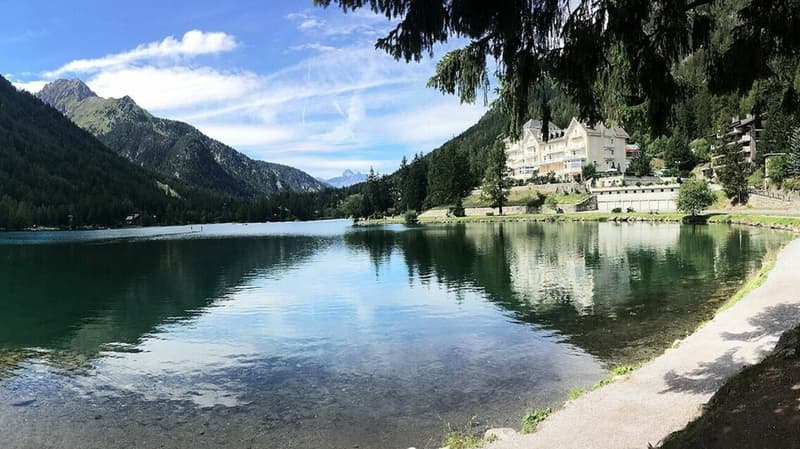 Magnifique chalet mitoyen rénové à Champex-Lac ! (46)