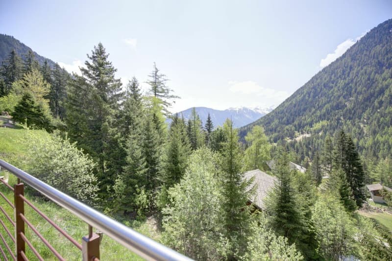 Magnifique chalet mitoyen rénové à Champex-Lac ! (36)