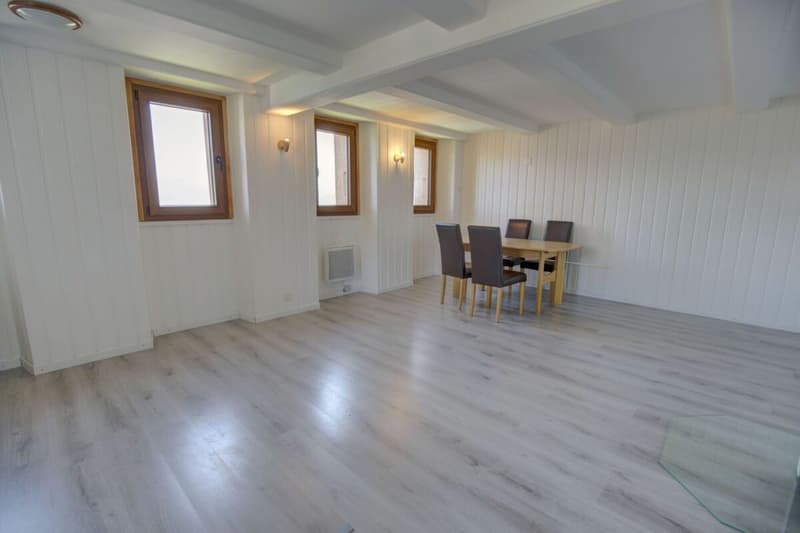 Nice 3p. in the heart of the old village of Nendaz! (2)