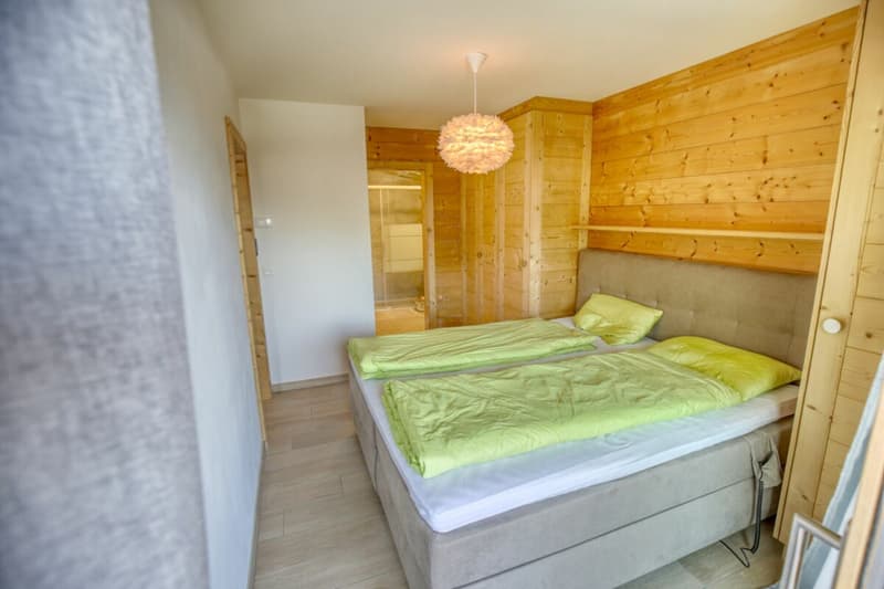 Appartement 3.5p de luxe en très bon état à vendre à Haute-Nendaz (8)