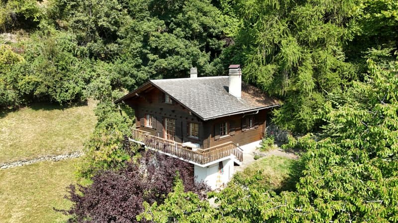Charming chalet in Isérables (2)