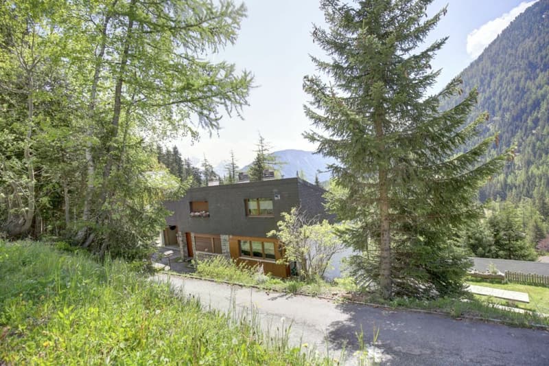 Beautiful renovated semi-detached chalet in Champex-Lac! (30)