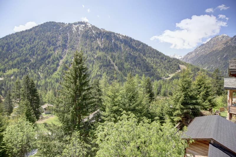 Beautiful renovated semi-detached chalet in Champex-Lac! (38)