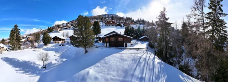 Chalet de caractère avec 2 annexes et un grand terrain à Haute-Nendaz! (4)