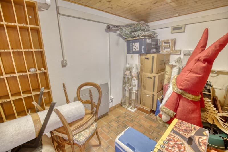 Chalet de caractère avec 2 annexes et un grand terrain à Haute-Nendaz! (29)