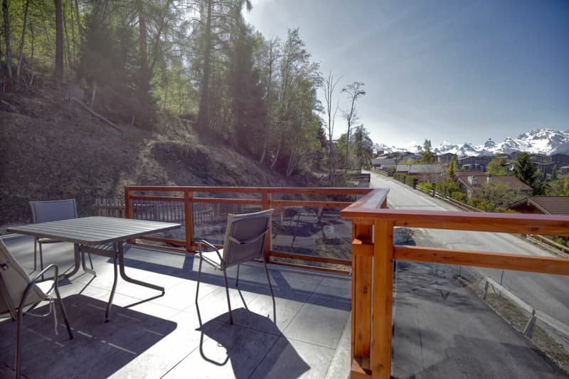 Magnifique chalet au bord du bisse à Nendaz ! (18)