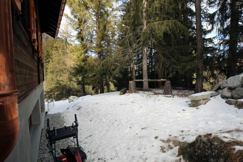 Chalet 4.5 pièces dans PPE - Excellent potentiel locatif (21)